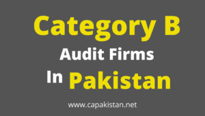 Category B Audit Firms In pakistan